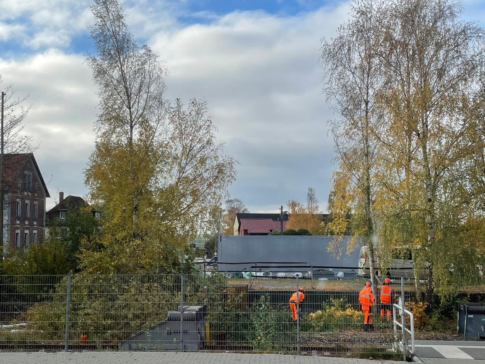 DB-Vegetationsmanagement – Deutsche Bahn fällt Bäume am Schöppenstedter Bahnhof